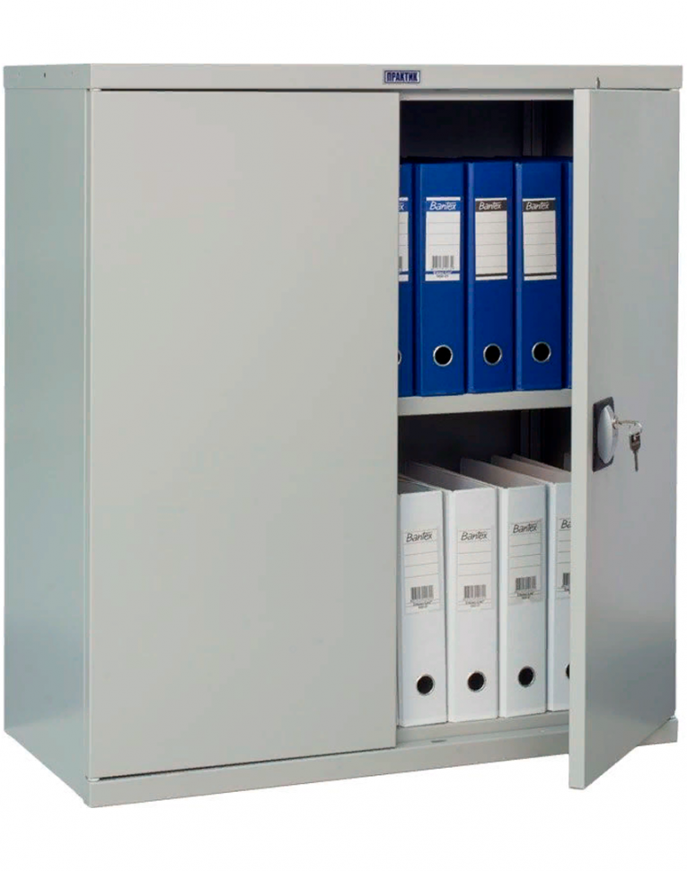 Шкаф Практик СВ-21 купить в Туле